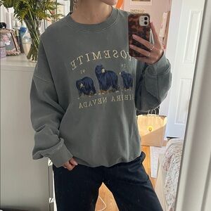 John Galt Gray-Green Yosemite Crew Neck Sweater